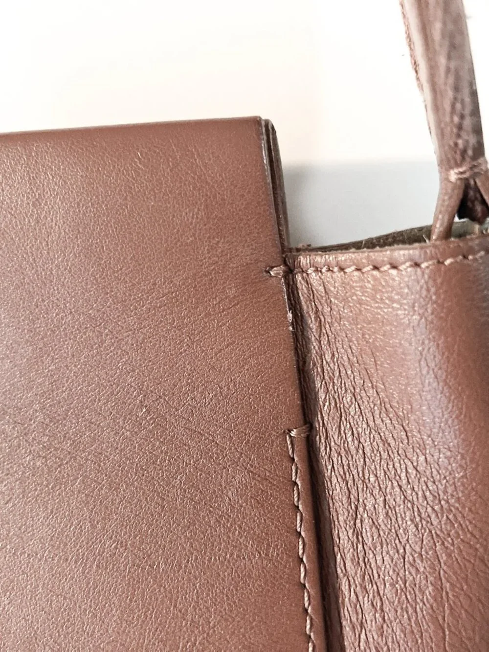 Everlane The Form Mini Bag Crossbody Cognac Brown